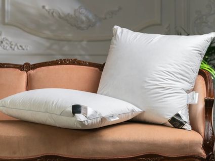 Подушка Trois Couronnes Royal Wild Duck Down Medium 219