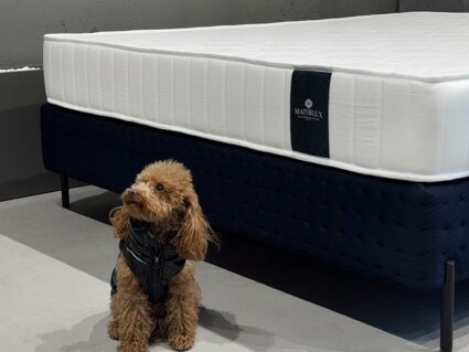 Матрас Materlux Metauro Forte 90х195