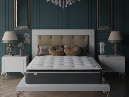 Матрас Evita SymBio Charm Medium 43
