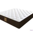 Матрас DreamLine King Tradition Soft TFK 90х190